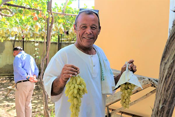 Surkhandarya Region Leads in Grape Production in Uzbekistan