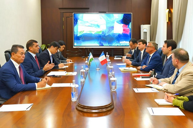 Uzbekistan and France Discuss Expanding Cooperation in Healthcare