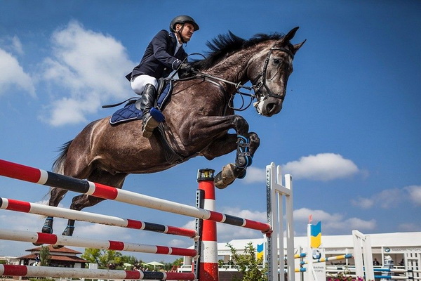 Uzbekistan plans to acquire thoroughbred horses