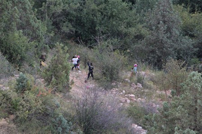 МЧС эвакуировало 50 человек с канатной дороги в Белдерсае