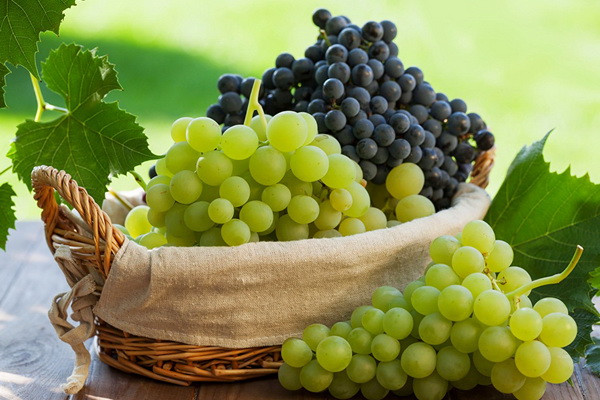 Uzbekistan exports 245,200 tons of grapes to 51 countries in 10 months