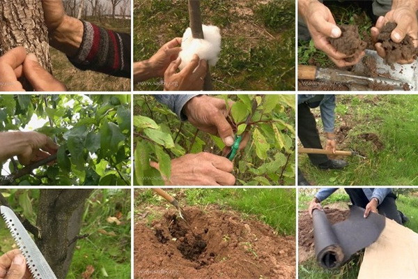 Finalists of the USAID competition to receive equipment worth up to 2 billion soums
