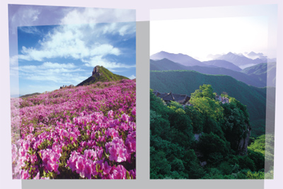 Tashkent to host exhibition “Beauties of Korea”