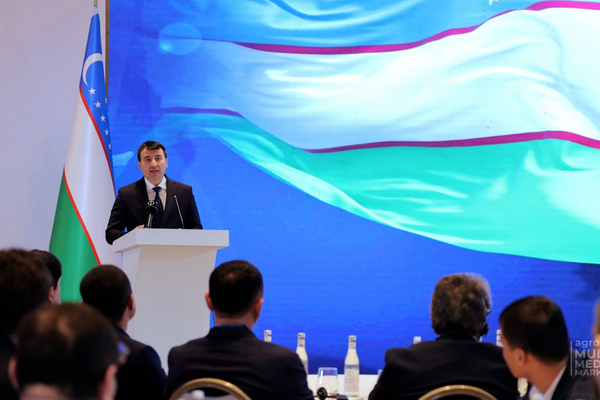 Samarkand hosts Hungarian business forum as part of the first summit of the Organization of Turkic States